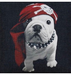 Pirate Bulldog Cushion