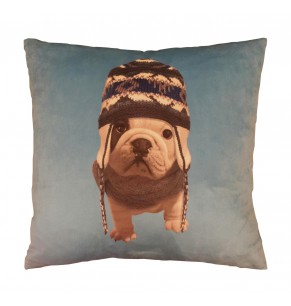Winter Bulldog Cushion