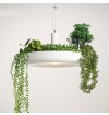 Lavan Garden Plant Pendant Lamp