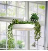 Lavan Garden Plant Pendant Lamp