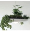 Lavan Garden Plant Pendant Lamp