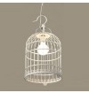 Metal Birdcage Ceiling Lamp