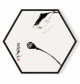 Stockroom Artworks - Hexagon Canvas Wall Art - Approaching Fish - More Sizes
