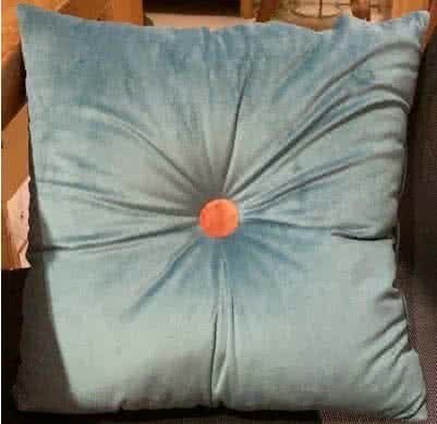 Cushion