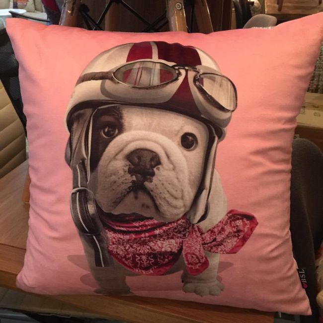 Pink Motorist Bulldog