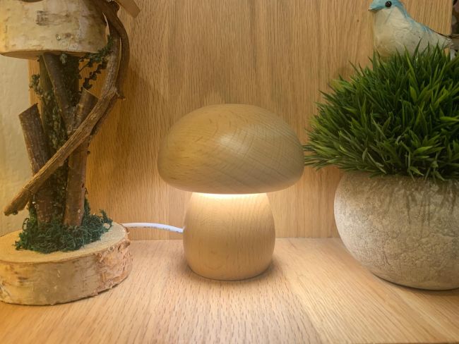 Mushroom Style Lamp Limited Item