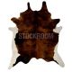 Mini Cowhide rug