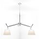 Double Arms Ceiling Light