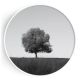 Stockroom Artworks - Circle Canvas Wall Art - Monochrome Single Tree - More Sizes