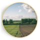 Stockroom Artworks - Circle Canvas Wall Art - Pastoralism - More Sizes