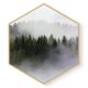 Stockroom  Artworks - Hexagon Canvas Wall Art - Foggy Forrest - More Sizes