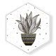 Stockroom  Artworks - Hexagon Canvas Wall Art - Geometric Potted Botanical - More Sizes