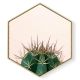 Stockroom  Artworks - Hexagon Canvas Wall Art - Blush Pink Cactus - More Sizes
