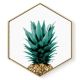 Stockroom  Artworks - Hexagon Canvas Wall Art - Hidden Pineapple - More Sizes