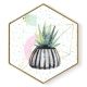 Stockroom  Artworks - Hexagon Canvas Wall Art - Potted Cactus - More Sizes