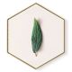 Stockroom  Artworks - Hexagon Canvas Wall Art - Single Leaf - More Sizes