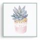 Stockroom Artworks - Square Canvas Wall Art - Potted Rosette - More Sizes