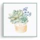 Stockroom Artworks - Square Canvas Wall Art - Potted Rosette with Flowers - More Sizes