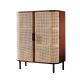Ermina Rattan Shoe Cabinet