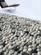 Felted Wool Pebble Rug - Grey