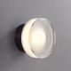 Kaluxy Round Glass Contemporary Wall Lamp