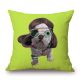 Teo Jasmin Bulldog Cushion