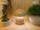 Mushroom Style Lamp Limited Item 