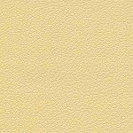 Code:d8111 Light Yellow